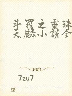 斗罗之灵珠神剑天麟小说全文在线阅读