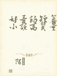 好看的短篇言情小说高质量文笔好