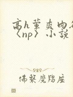 高h荤爽肉欲文〈np〉小说