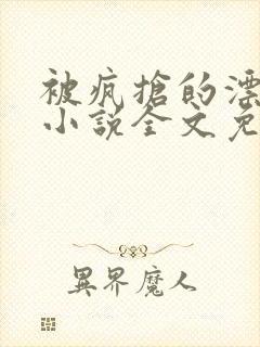 被疯抢的漂亮攻小说全文免费阅读无弹窗