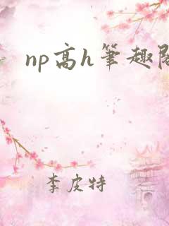 np高h笔趣阁