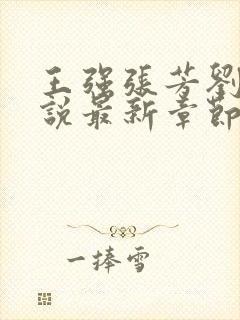 王强张芳刘芳小说最新章节更新时间