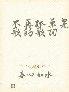 不再孤单是哪首歌的歌词