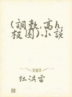 (调教,高h,校园)小说