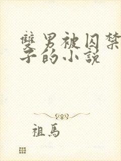 双男被囚禁还生子的小说