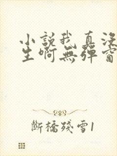 小说我真没想重生啊无弹窗无广告