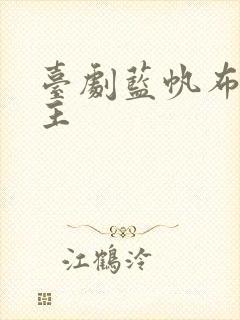 台剧蓝帆布双男主