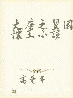 大唐之翼国公秦怀玉小说