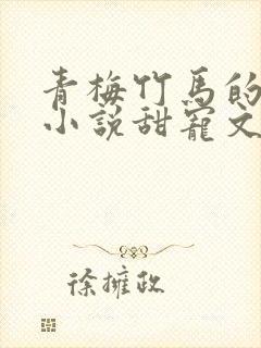 青梅竹马的校园小说甜宠文