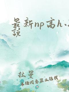 最新np高h小说