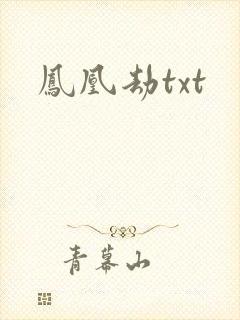 凤凰劫txt