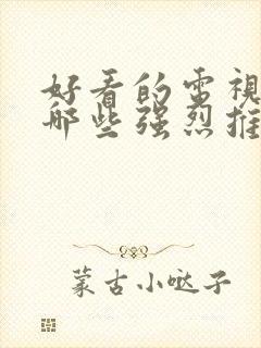 好看的电视剧有哪些强烈推荐