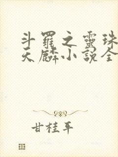 斗罗之灵珠神剑天麟小说全文在线阅读