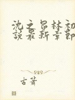 沈之昂林初窈小说最新章节免费阅读