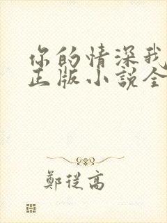 你的情深我不配正版小说全文免费阅读