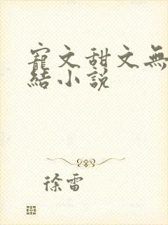 宠文甜文无虐完结小说