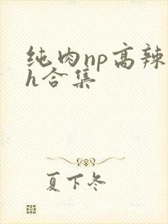 纯肉np高辣文h合集