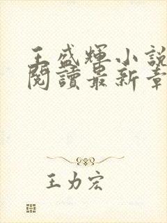 王盛辉小说免费阅读最新章节更新