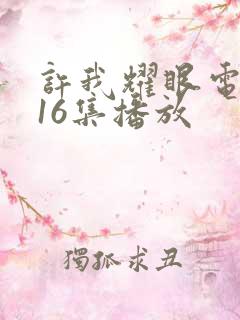 许我耀眼电视剧16集播放