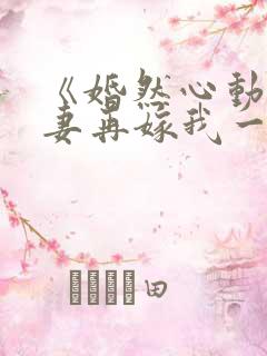 《婚然心动:前妻再嫁我一次》
