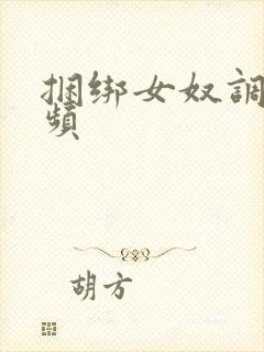 捆绑女奴调教视频