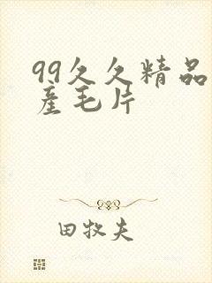 99久久精品国产毛片