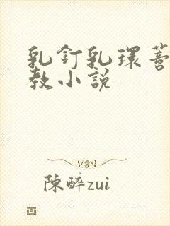 乳钉乳环蒂环调教小说