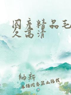 国产精品毛片久久高清