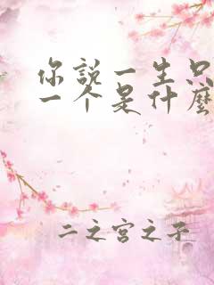 你说一生只爱我一个是什么歌了