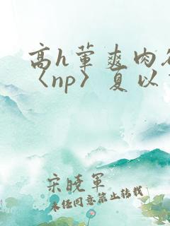 高h荤爽肉欲文〈np〉夏以昼