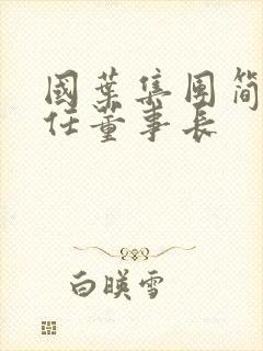 国叶集团简介现任董事长