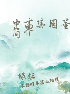 中高集团董事长简介