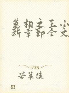 万相之王小说最新章节全文免费阅读