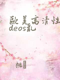 欧美高清性videos乱