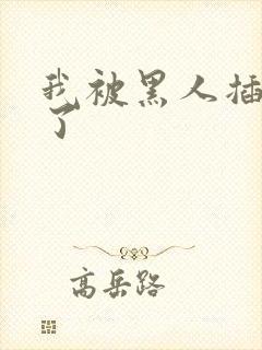 我被黑人插进去了