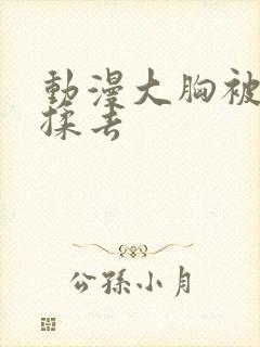 动漫大胸被揉来揉去