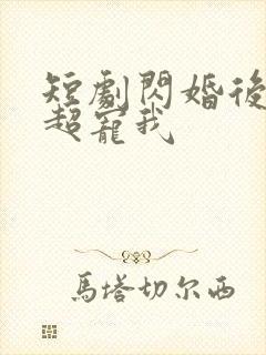 短剧闪婚后大叔超宠我