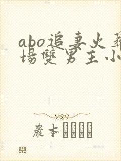 abo追妻火葬场双男主小说