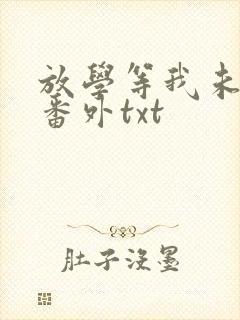 放学等我未删减番外txt