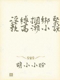 淫缚捆绑紧缚调教高潮小说