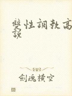 双性调教高h小说