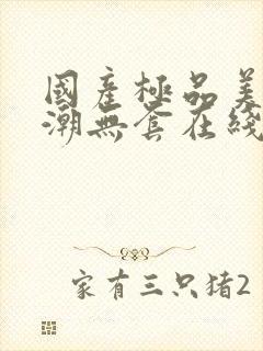 国产极品美女高潮无套在线