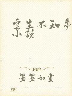 云生不知梦原著小说