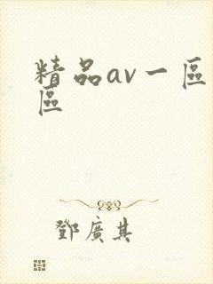 精品av一区二区