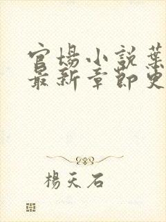 官场小说叶明昊最新章节更新