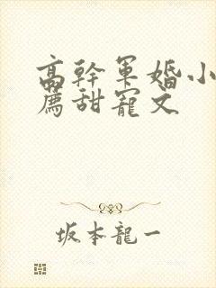 高干军婚小说推荐甜宠文