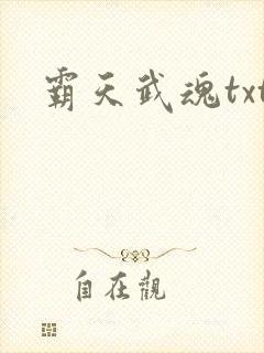 霸天武魂txt