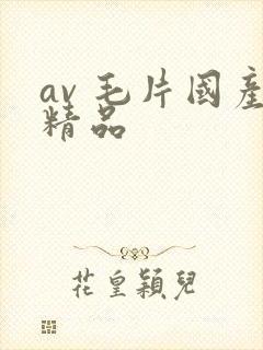 av 毛片国产精品