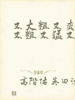 又大粗又爽国产又粗又猛又,爽又黄的视频