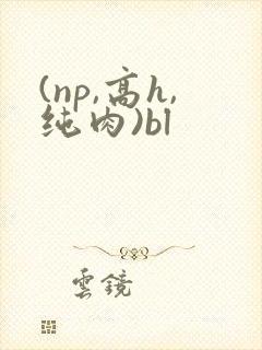 (np,高h,纯肉)bl